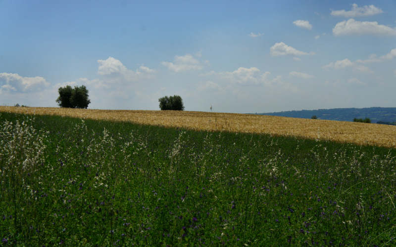 via Amerina, Penna in Teverina