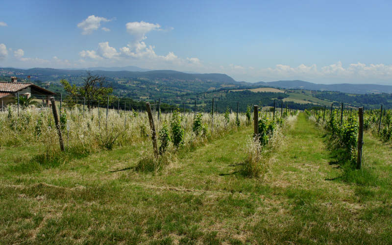 Via Amerina, Penna in Teverina