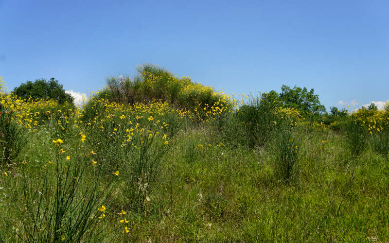 Via Amerina, Penna in Teverina