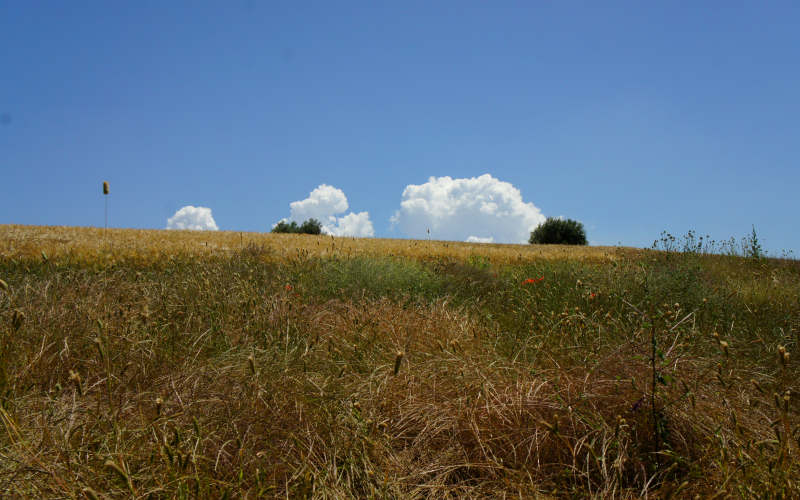 Via Amerina, Penna in Teverina