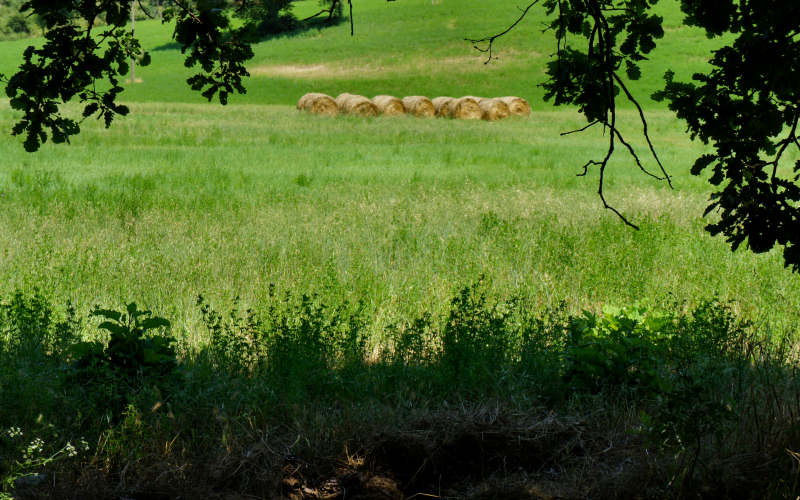 Via Amerina, Penna in Teverina