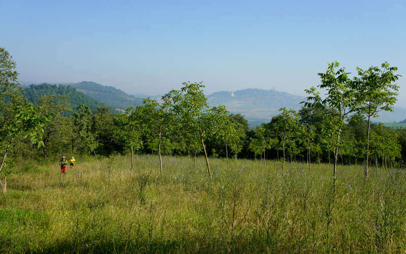 Via Amerina, Todi-Amelia