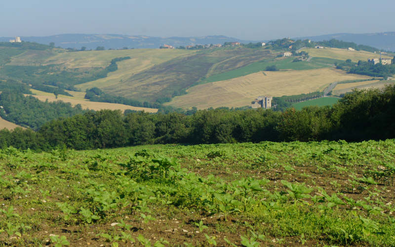 Via Amerina, Todi-Amelia