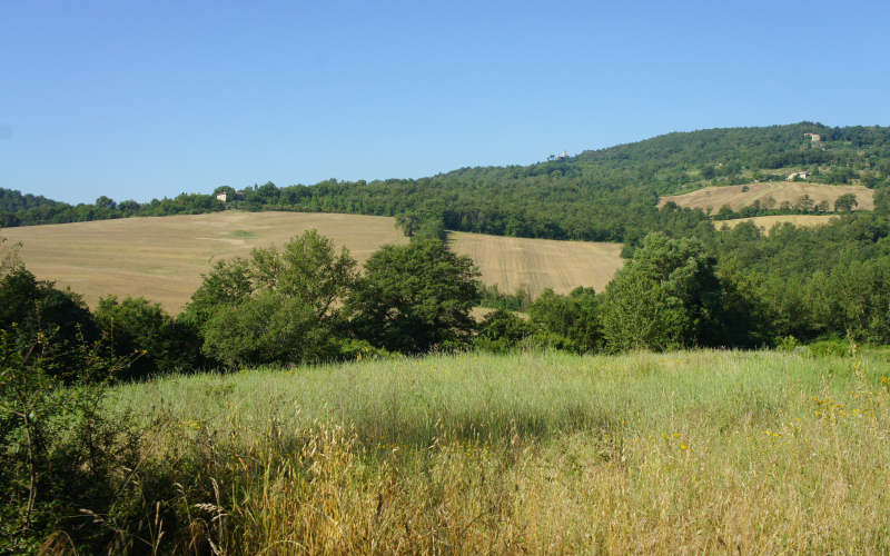 Via Amerina, Todi-Amelia