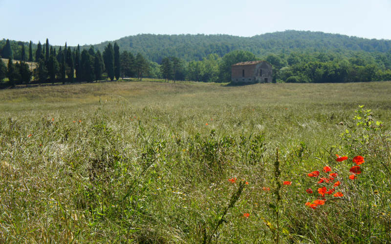 Via Amerina, Todi-Amelia