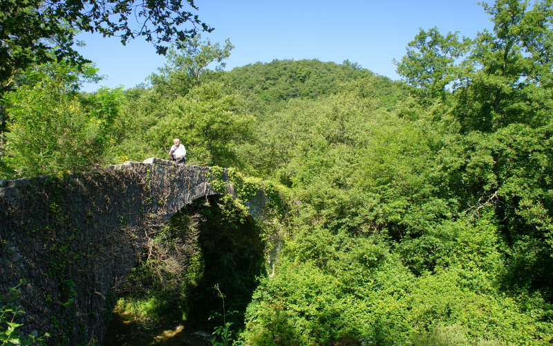 Via Amerina, Todi-Amelia