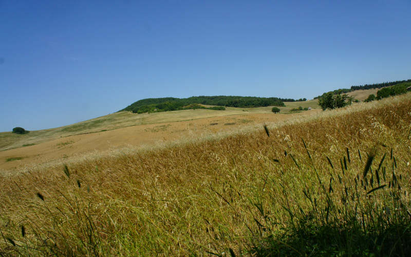 Via Amerina, Todi-Amelia