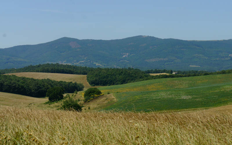 Via Amerina, Todi-Amelia