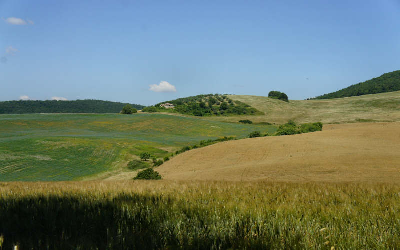 Via Amerina, Todi-Amelia