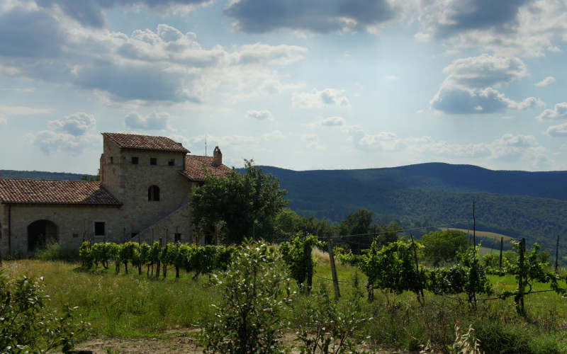 Via Amerina, Todi-Amelia