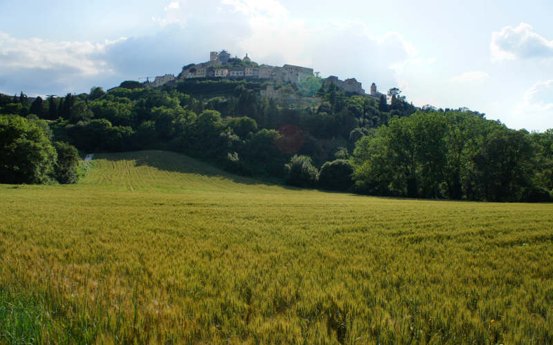 Via Amerina, Todi-Amelia