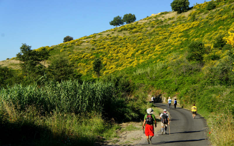 Via Amerina, Veio
