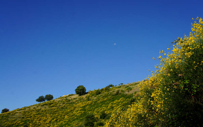 Via Amerina, Veio