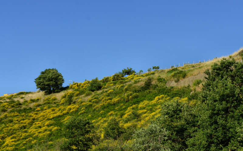 Via Amerina, Veio