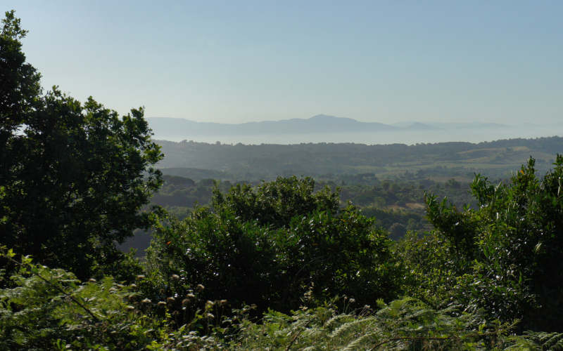 Via Amerina, Veio