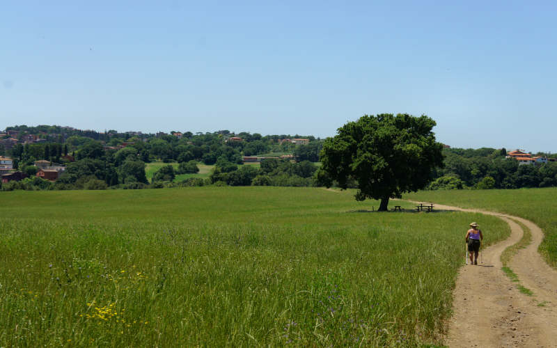 Via Amerina, Veio