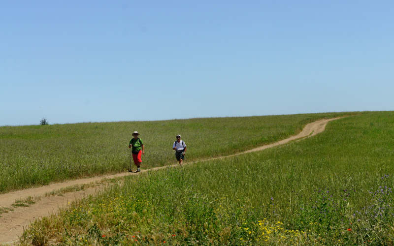 Via Amerina, Veio