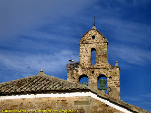 Camino de Santiago