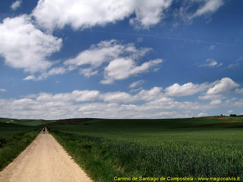 Camino de Santiago