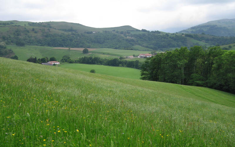 Pyrenees Roncesvalles