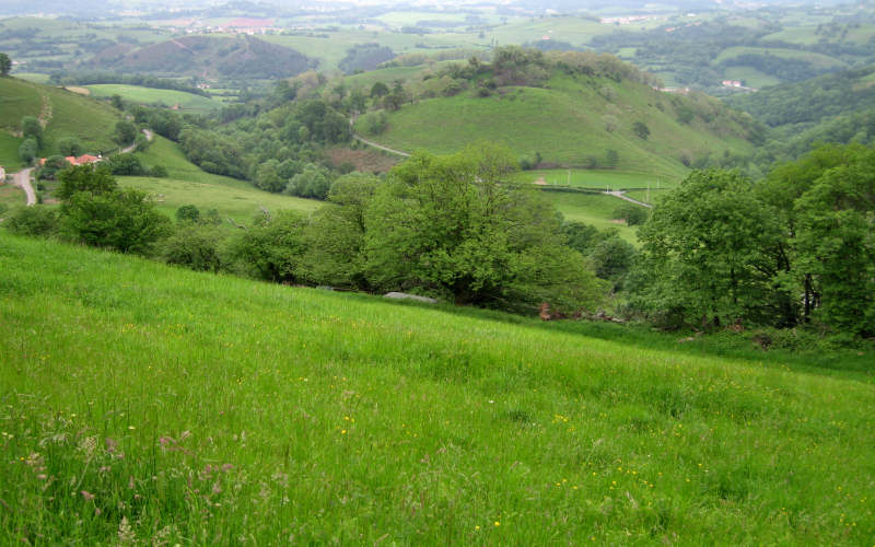 Pyrenees Roncesvalles