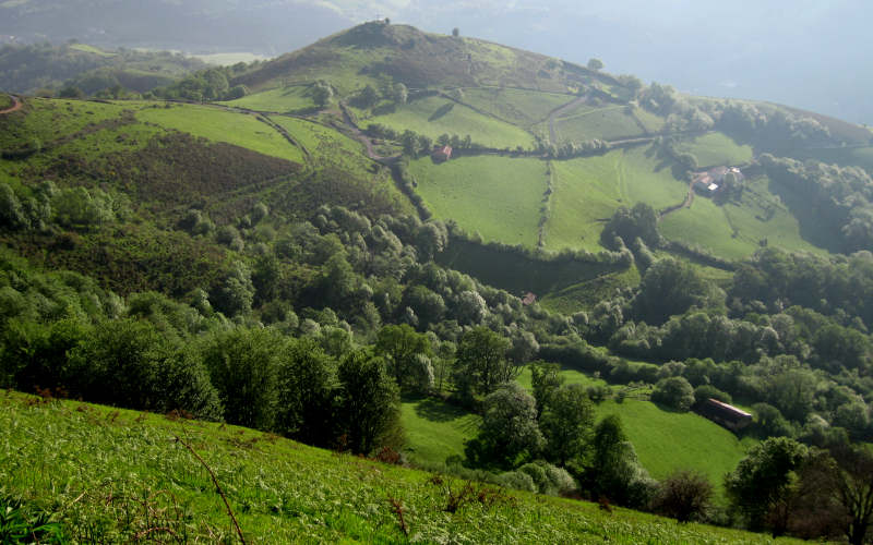Pyrenees Roncesvalles