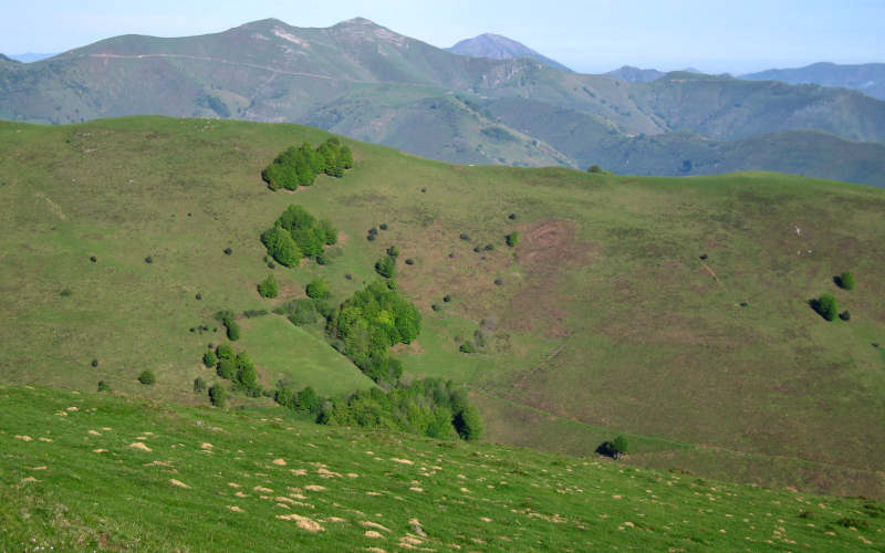 Pyrenees Roncesvalles
