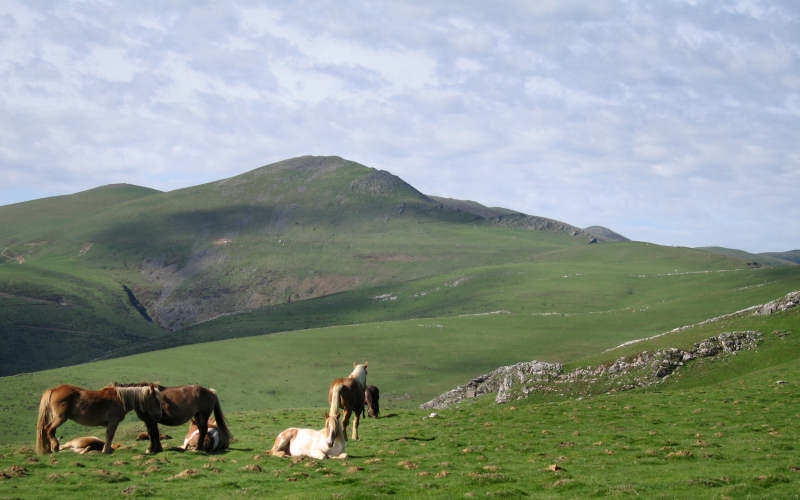 Pyrenees Roncesvalles