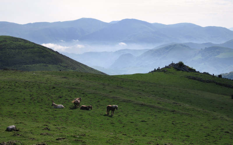 Pyrenees Roncesvalles