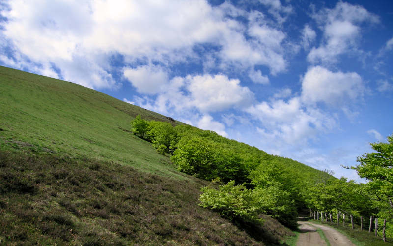 Pyrenees Roncesvalles