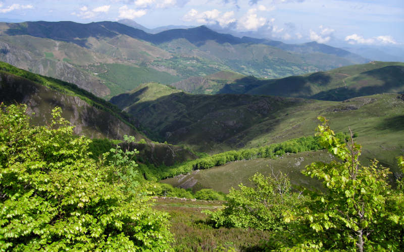 Pyrenees Roncesvalles