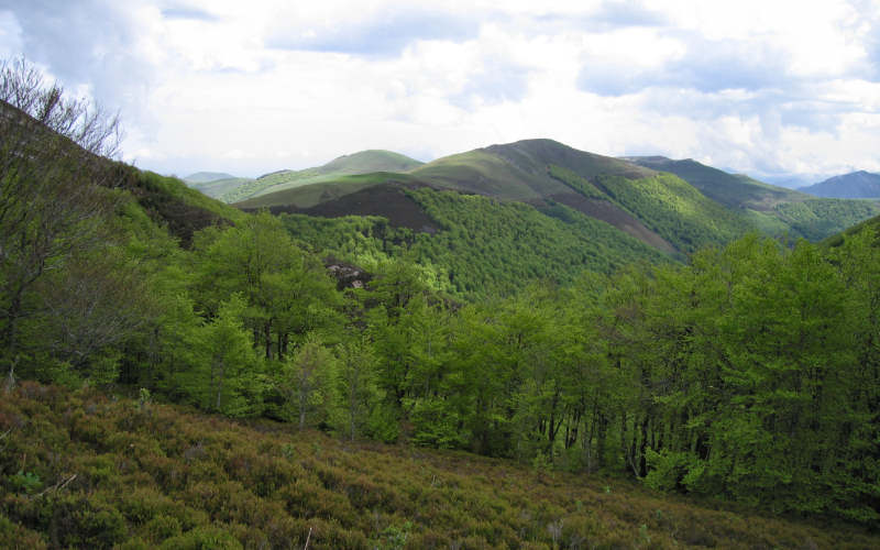 Pyrenees Roncesvalles