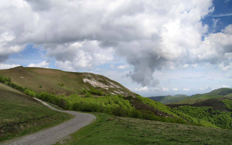 Pyrenees Roncesvalles
