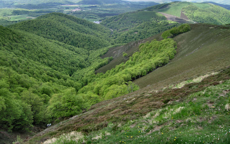Pyrenees Roncesvalles