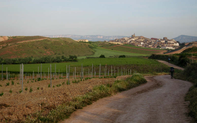 Estella - Iraque