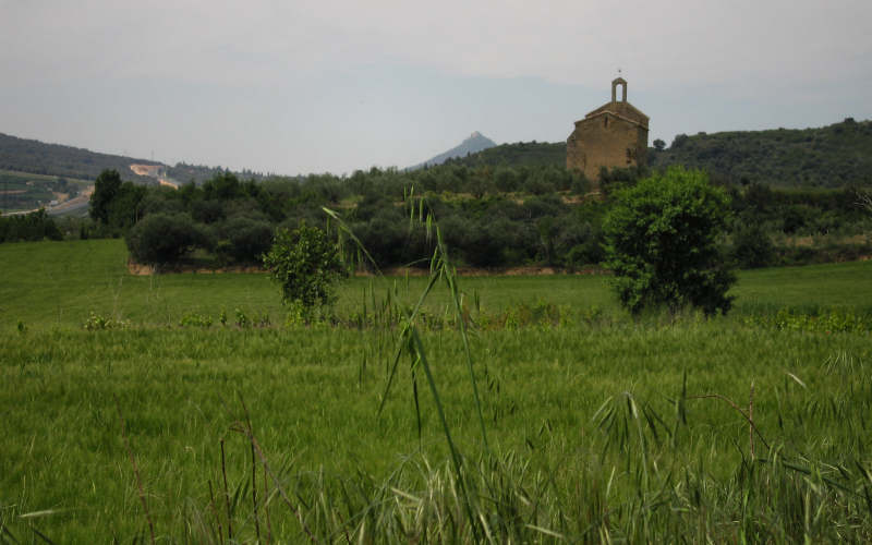 Estella - Iraque