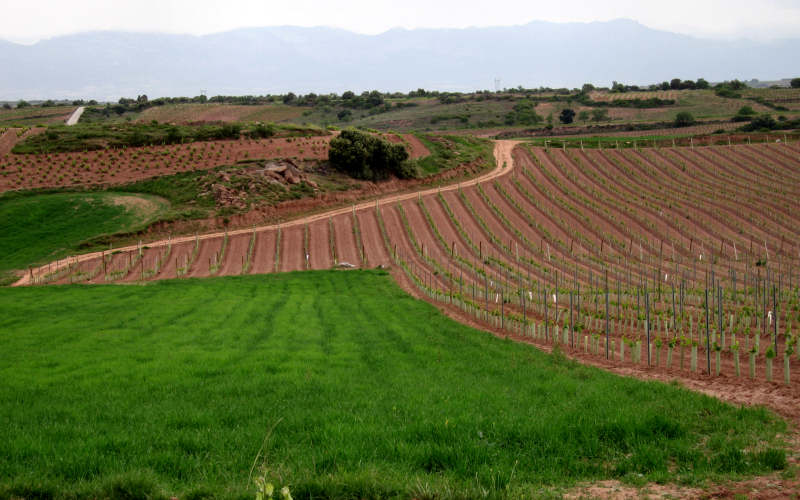 Najera - Santo Domingo de la Calzada - Belorado - San Juan de Ortega