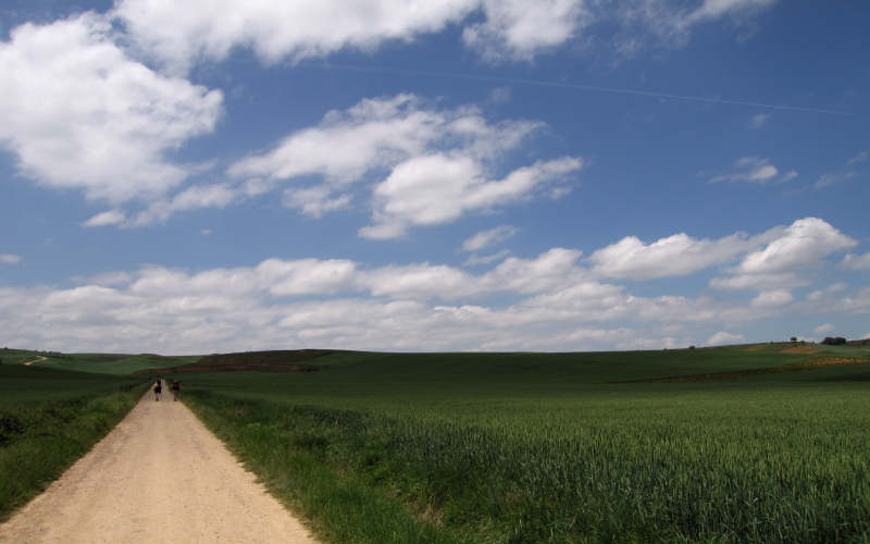 Najera - Santo Domingo de la Calzada - Belorado - San Juan de Ortega