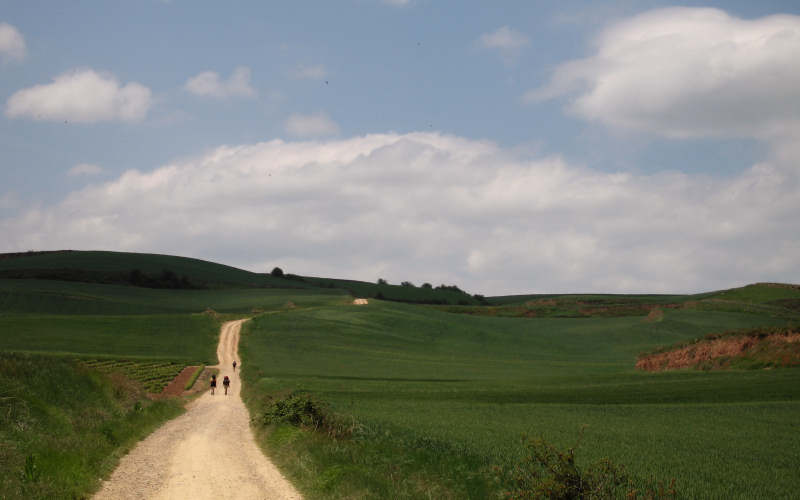 Najera - Santo Domingo de la Calzada - Belorado - San Juan de Ortega