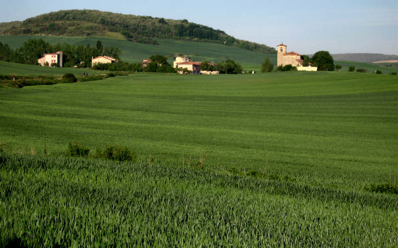 Najera - Santo Domingo de la Calzada - Belorado - San Juan de Ortega