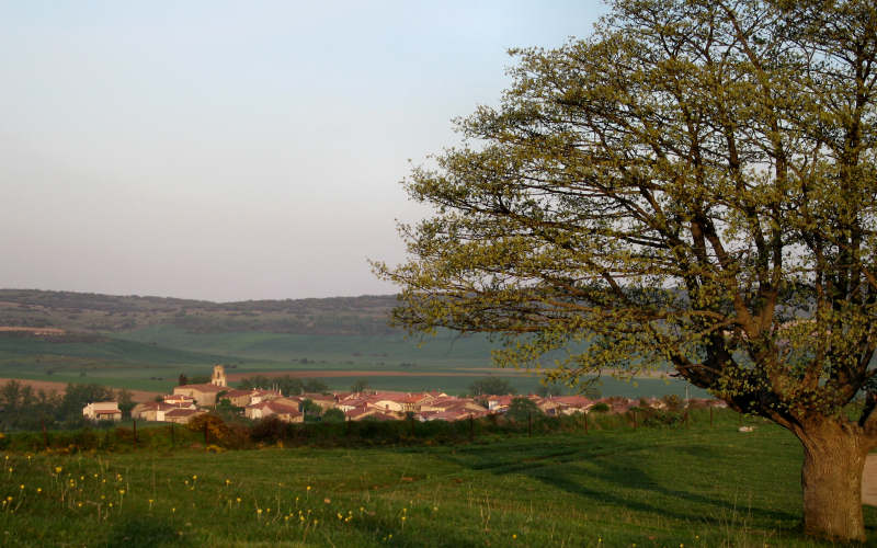 Najera - Santo Domingo de la Calzada - Belorado - San Juan de Ortega