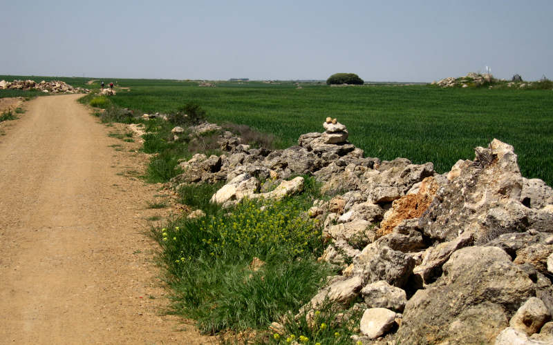 Meseta
