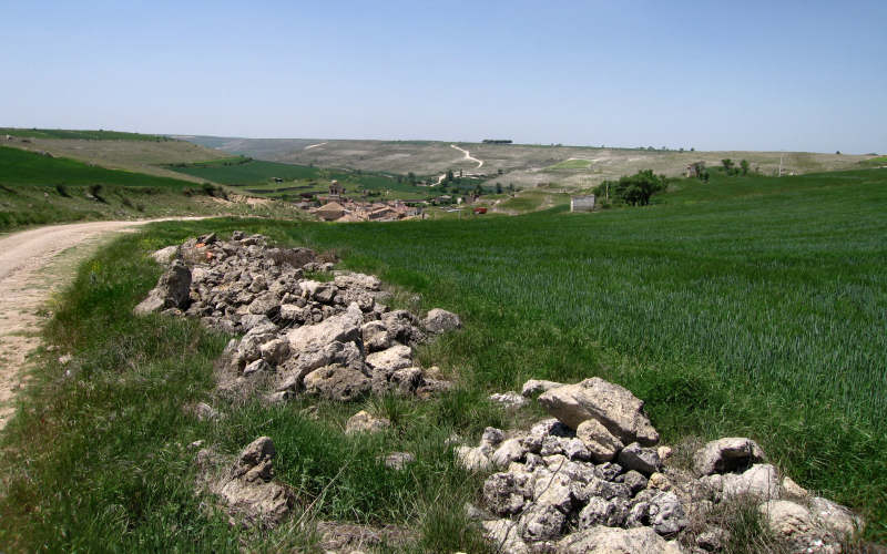 Meseta