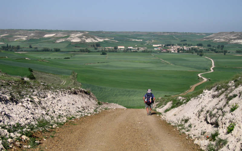 Meseta