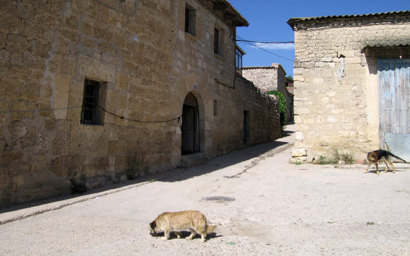 Meseta