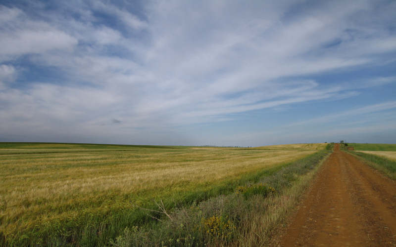 Meseta