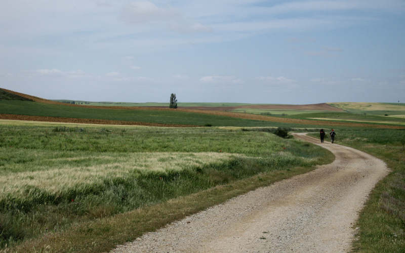 Meseta