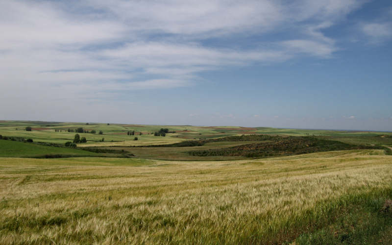Meseta