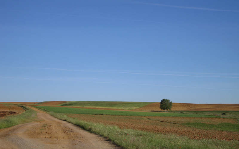 Meseta