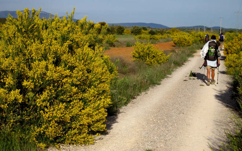 Rabanal del Camino